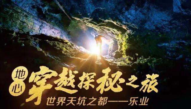 植物大战僵尸20